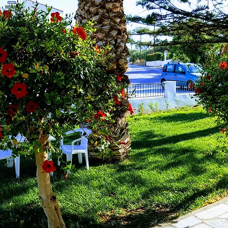 Apartment Mastorakis Hersonissos (Crete)